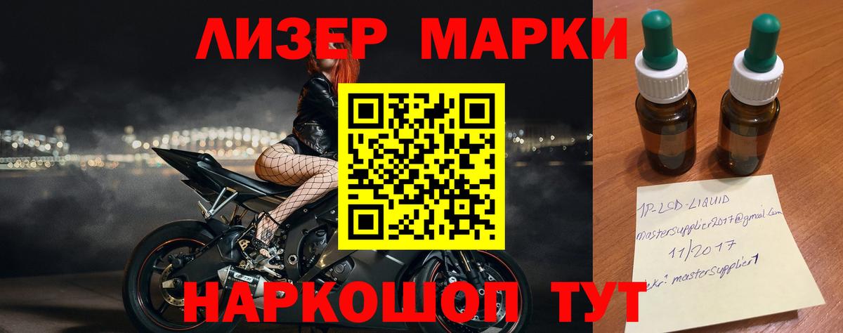 МЕФ Сокол