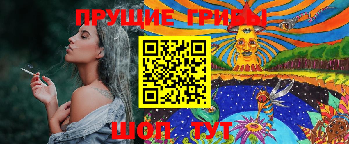Псилоцибиновые грибы Psilocybine cubensis Сокол